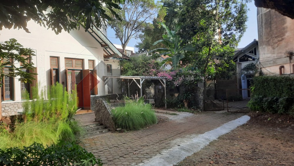 Listing photos
