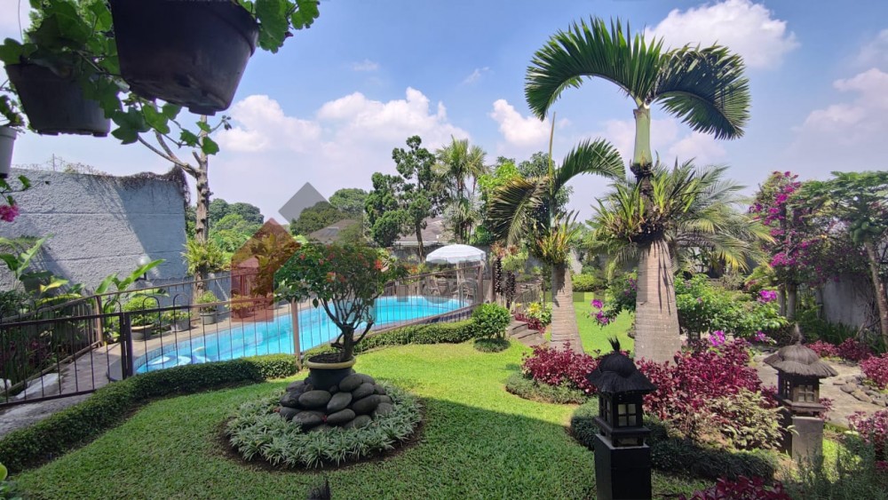 Listing photos